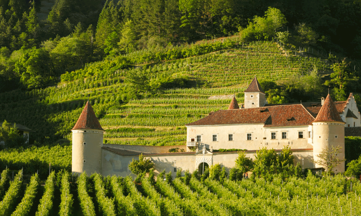 Vom 24.06. – 27.06.2024 findet das "Hemmungslos – Umgang mit Blockaden" Retreat in Schloss Goldrain/Südtirol statt.