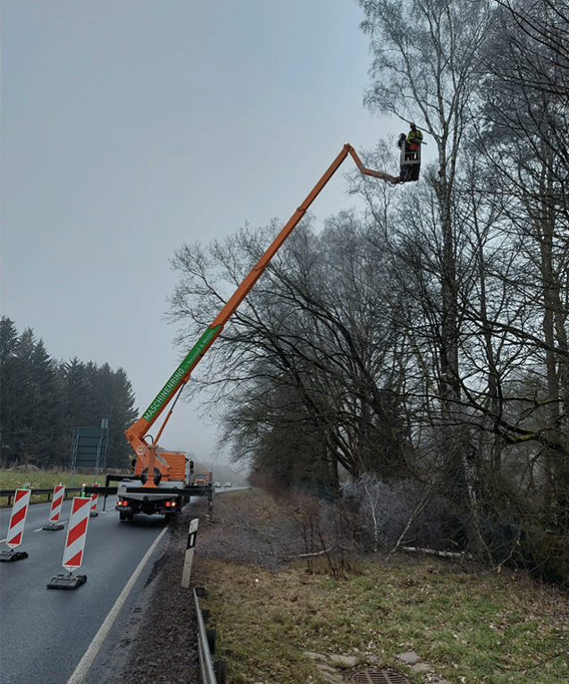 Manchmal ist es notwendig, Bäume zu fällen und Waldflächen zu roden, sei es nach einem Sturmereignis oder aufgrund einer genehmigten Nutzungsänderung.