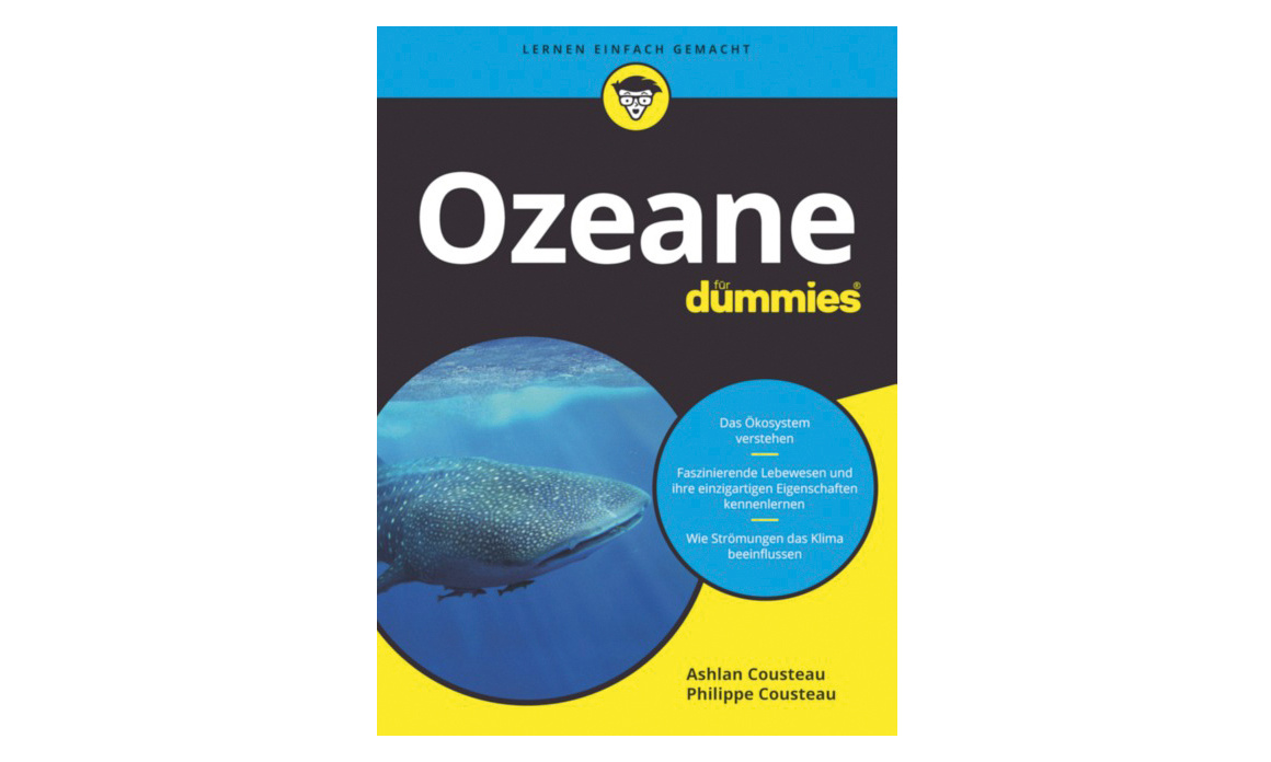 Ozeane für Dummies