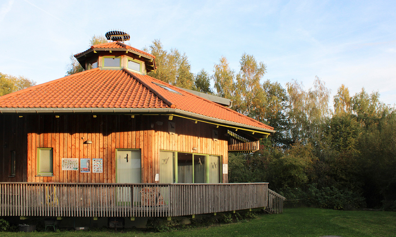 Die Ökostation im Sonnenuntergang – die unberührte Natur auf dem Gelände strahlt echte Ruhe aus.