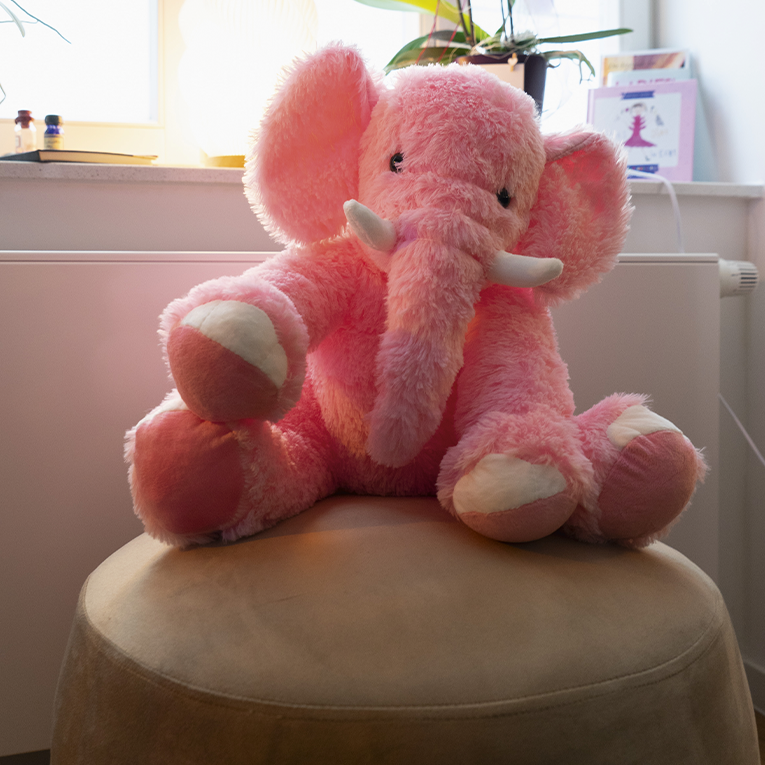 Der rosa Elefant im Raum: Jeder kennt und sieht das Problem – keiner hat den Mut, es anzusprechen. Die FÿHRSORGER unterstützen und zeigen Wege auf, Probleme im Team, im Beruf oder privat anzugehen.