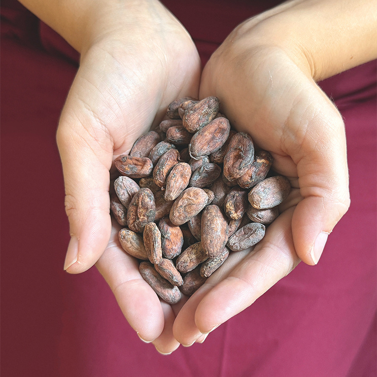 Nur ausgewählte Kakaobohnen schaffen es in die Bean-to-Bar-Schokoladen von JAKAO.