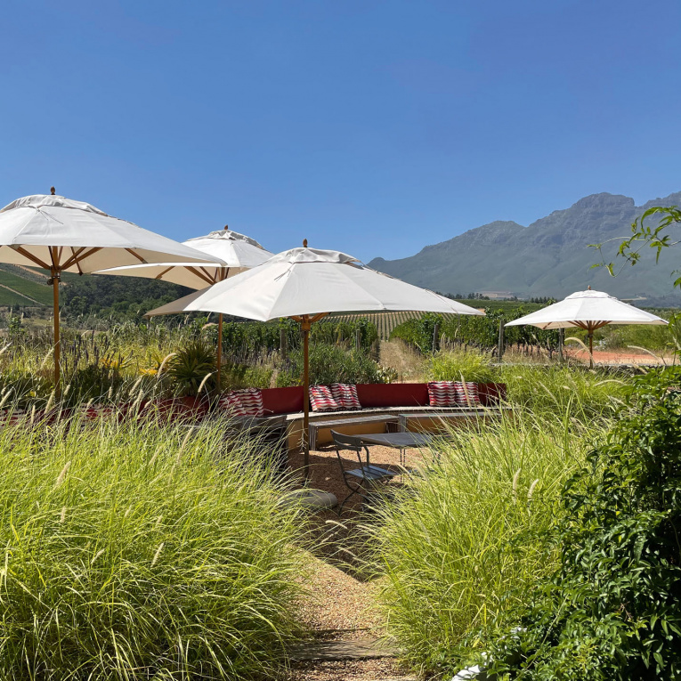 Herrliche Weingüter in Stellenbosch, wie z. B. die von Glenelly und Ernie Els.