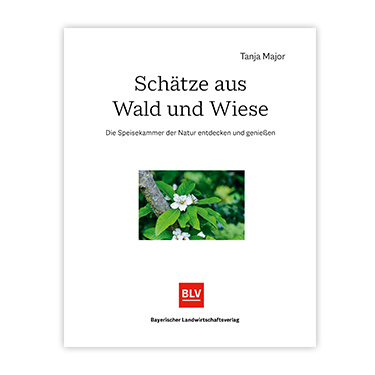 Tanja Major | Schätze aus Wald und Wiese | Die Speisekammer der Natur entdecken und genießen