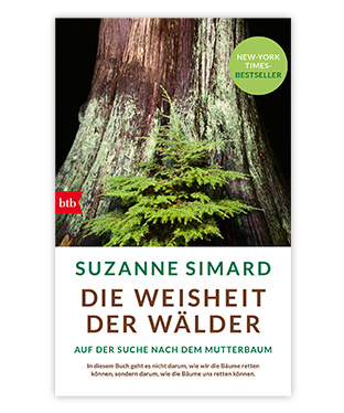 Suzanne Simard | Die Weisheit der Wälder | Auf der Suche nach dem Mutterbaum