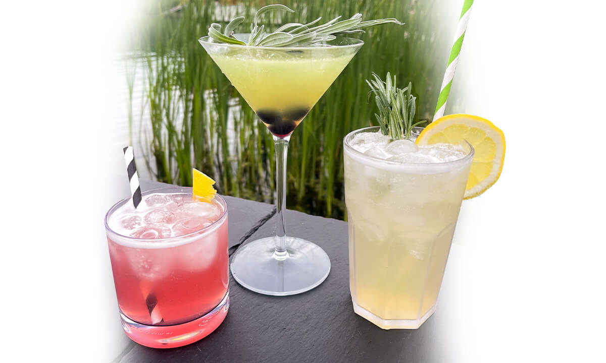 Die drei Sieger-Cocktails im Wettbewerb „Mix dich berühmt“ der Obermain Therme: „Berrygamot Sour“ von André Körner (links), „Lavendel & Blaubeeren-Martini“ von Enes Ünaldi (Mitte) und „Rosemary Lime“ von Andreas Schmohl (rechts).