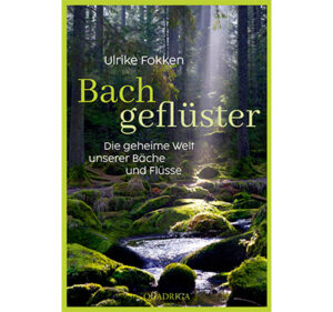 Gewinn Sommer 2022 Buch Bachgeflüster