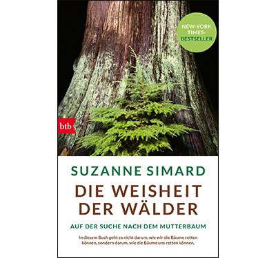 Gewinn Sommer 2022 Buch Die Weisheit der Wälder