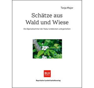Gewinn Sommer 2022 Buch Schätze aus Wald und Wiese